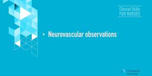 Video 3-7 Neurovascular observations