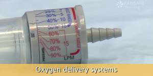 Oxygen therapy via nasal cannula or various masks